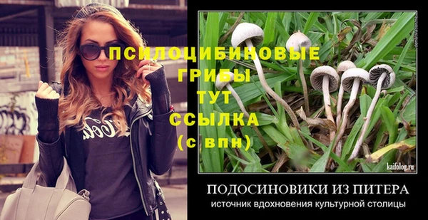MESCALINE Снежинск