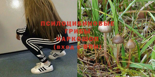 а пвп мука Снежногорск