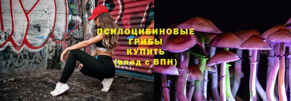 индика Слюдянка