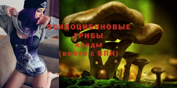 а пвп мука Снежногорск