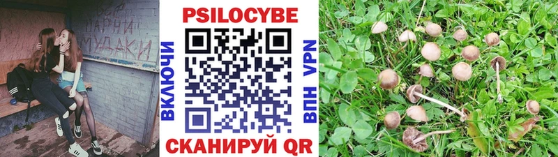 купить   Спас-Деменск  ссылка на мегу ТОР  Псилоцибиновые грибы Magic Shrooms 
